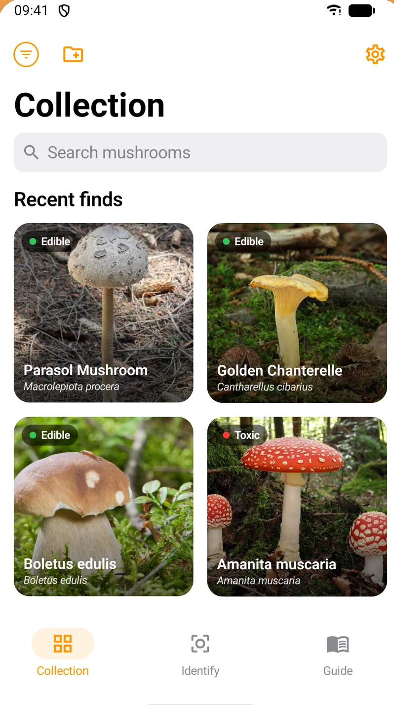 Shroomly collection of saved mushroom finds
