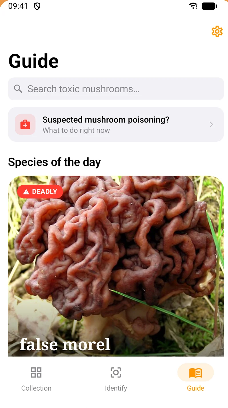 Shroomly Safety Guide with search and species of the day